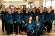 An evening of carolling at Fairview Mall