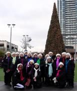 An afternoon of carolling by the Christmas Tree at Shops at Don Mills